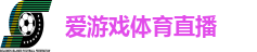 爱游戏体育直播